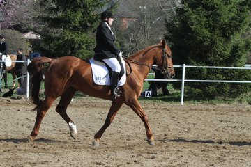 Bild 171 - WBO-Turnier am 9.4.11